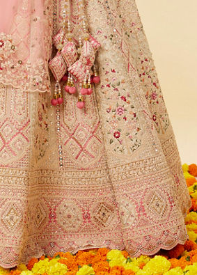 Rose Pink and Light Sea Green Embroidered Lehenga image number 3